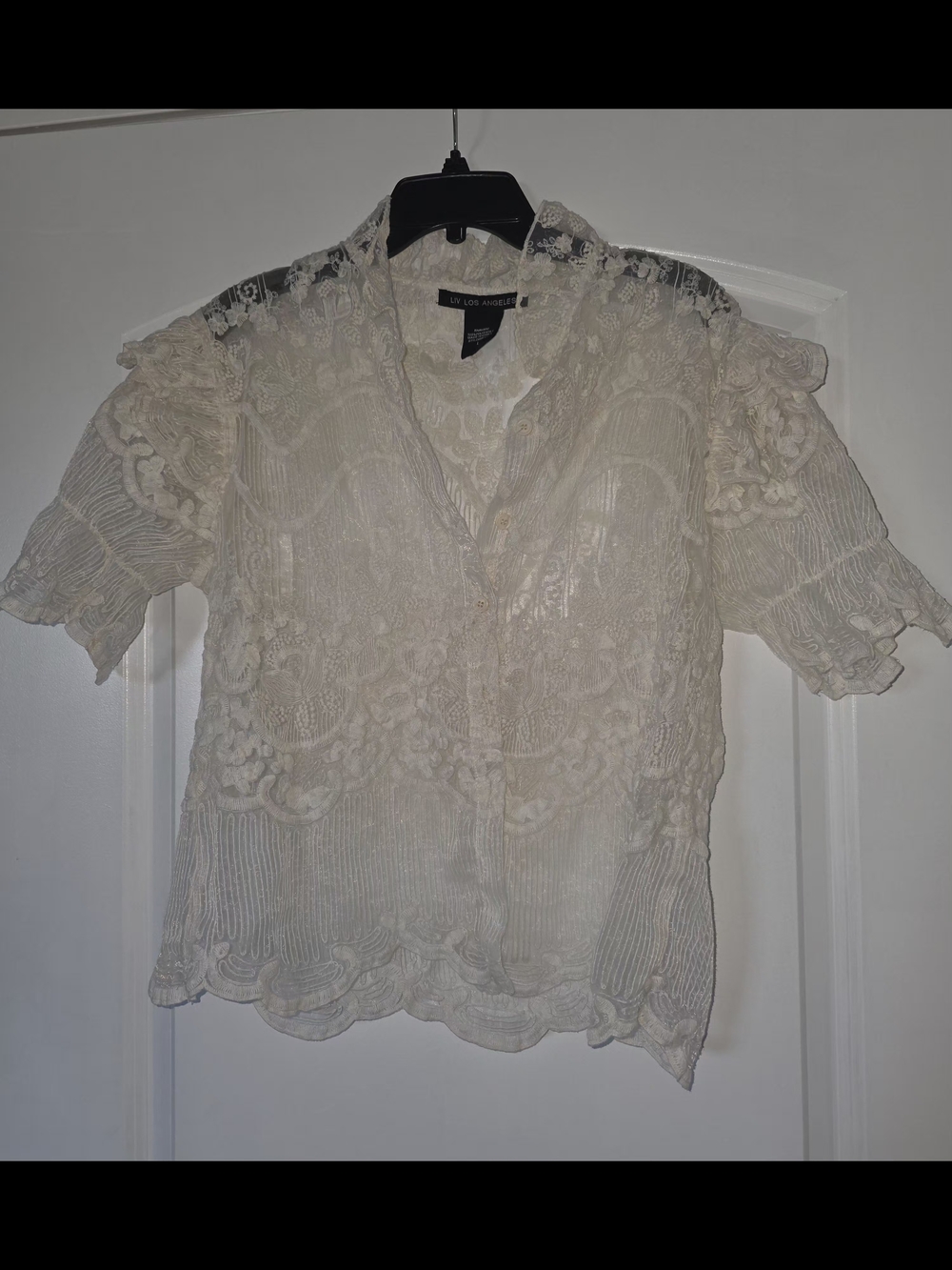 Liv Los Angeles Lace Mesh Short-Sleeve Embroidery Blouse, Size L - Picture 2 of 4
